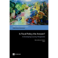 Is Fiscal Policy the Answer?: A Developing Country Perspective - Paperback