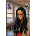 Broken Promises: A Domestic Violence Story - Paperback