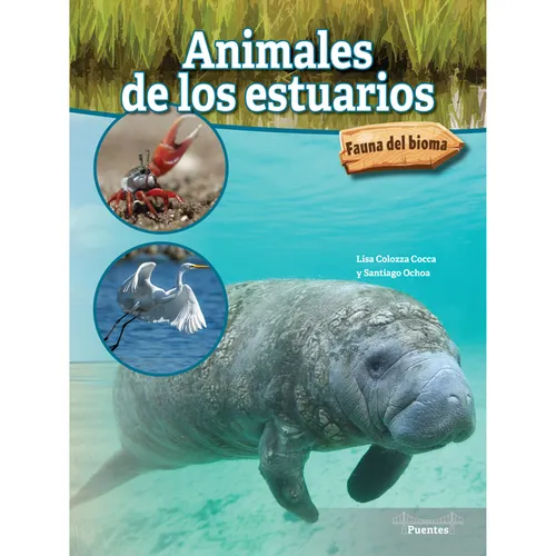 Animales de Los Estuarios: Estuary Animals - Hardcover