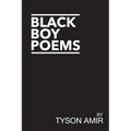 Black Boy Poems: An Account of Black Survival in America - Paperback