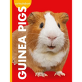 Curious about Guinea Pigs - Library Binding