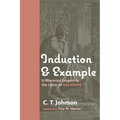 Induction and Example: A Rhetorical Exegesis in the Letter of Galatians - Hardcover
