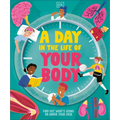 A Day in the Life of Your Body: Find Out What's Going on Under Your Skin - Hardcover