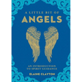 A Little Bit of Angels: An Introduction to Spirit Guidance - Hardcover