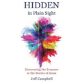 Hidden in Plain Sight - Paperback