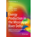 Energy Production in the Mississippi River Delta: Impacts on Coastal Ecosystems and Pathways to Restoration - Paperback