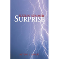 Sizzlin' Summer Surprise - Paperback