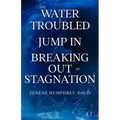 The Water is Troubled, Jump In, Breaking Out of Stagnation - Paperback