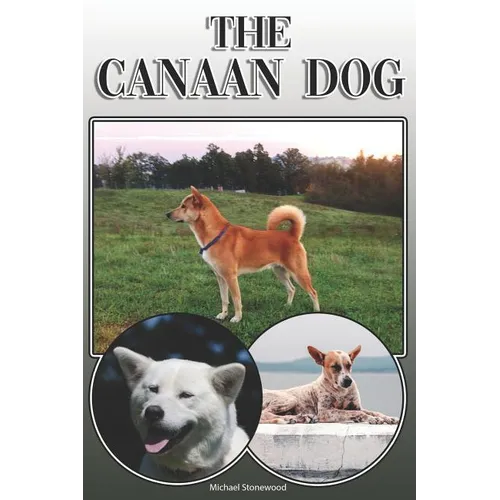 The Canaan Dog: A Complete and Comprehensive Owners Guide To: Buying, Owning, Health, Grooming, Training, Obedience, Understanding and - Paperback