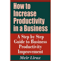 How to Increase Productivity in a Business - A Step by Step Guide to Business Productivity Improvement - Paperback