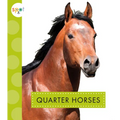 Quarter Horses - Library Binding
