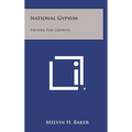 National Gypsum: Pattern for Growth - Hardcover