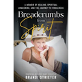 Breadcrumbs from Spirit: A Memoir of Healing, Spiritual Awakening, and the Journey to Wholeness - Paperback