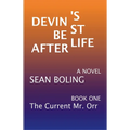 Devin's Best Afterlife - Paperback