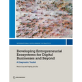 Developing Entrepreneurial Ecosystems for Digital Businesses and Beyond: A Diagnostic Toolkit - Paperback