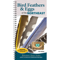 Bird Feathers & Eggs of the Northeast: Identify 40 Species of Common Backyard Birds - Spiral