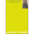 Las Ventajas de Ser Invisible (the Perks of Being a Wallflower) - Paperback