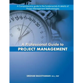 A Professional Guide to Project Management - Paperback