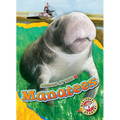 Manatees - Library Binding