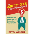 The Dummy's Guide To Boosting Financial IQ: Realistic and Legal Way Of Increasing Your Wealth - Paperback