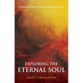 Exploring the Eternal Soul - Insights from the Life Between Lives - Paperback
