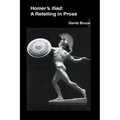 Homer's Iliad: A Retelling in Prose - Paperback