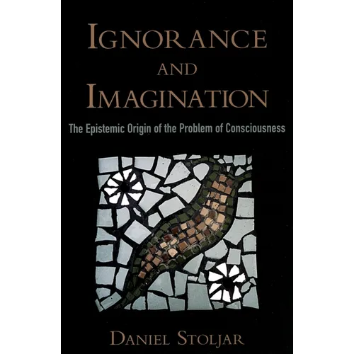 Ignorance and Imagination: The Epistemic Origin of the Problem of Consciousness - Paperback