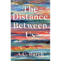 The Distance Between Us - Paperback