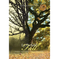 Let the Seed Fall: Growing from a Seed to a Tree by God's Power - Hardcover