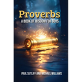 Proverbs: A Book of Wisdom for Boys - Paperback