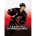 Carolina Hurricanes - Library Binding