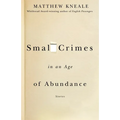 Small Crimes in an Age of Abundance - Paperback