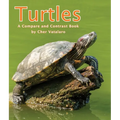 Turtles: A Compare and Contrast Book - Paperback