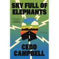 Sky Full of Elephants - Hardcover