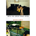 Into the Great Wide Open - Paperback