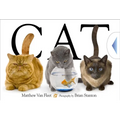 Cat - Hardcover