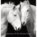 Journey of the Dream Team - Hardcover