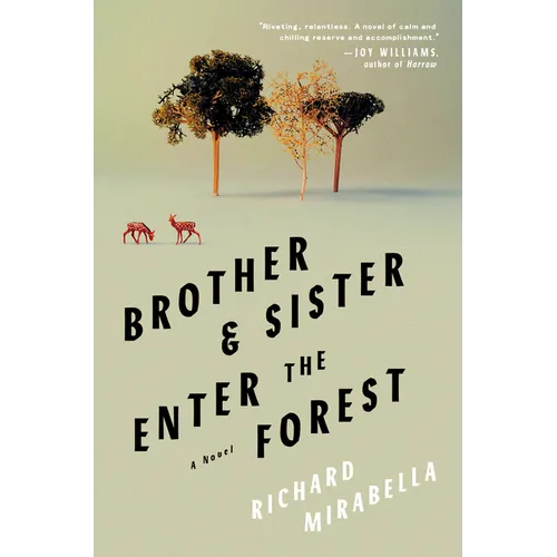 Brother & Sister Enter the Forest - Hardcover
