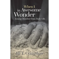When I in Awesome Wonder: Liturgy Distilled from Daily Life - Paperback