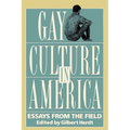 Gay Culture in America: Essays from the Field - Paperback