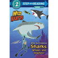 Wild Sea Creatures: Sharks, Whales and Dolphins! (Wild Kratts) - Paperback