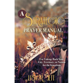 A Strategic Prayer Manual: For Taking Back Your City, Territory, or Nation for the Kingdom - Paperback