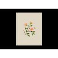ESV Single Column Journaling Bible (Cloth Over Board, Rosehip Design) - Hardcover