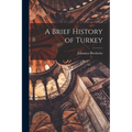 A Brief History of Turkey - Paperback