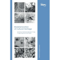 Biodeterioration of Cultural Heritage: Dynamic Interfaces between Fungi, Fungal Pigments and Paper - Hardcover