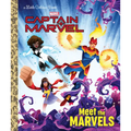 Meet the Marvels (Marvel) - Hardcover
