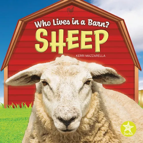 Sheep - Library Binding
