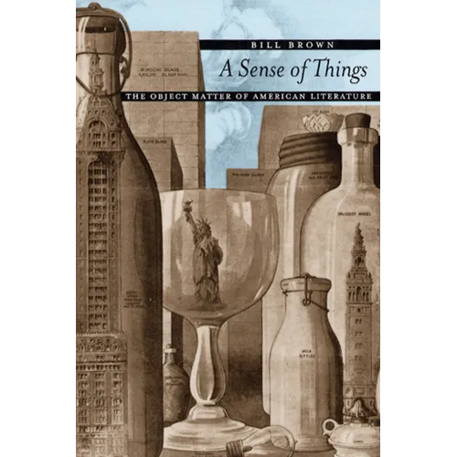 A Sense of Things: The Object Matter of American Literature - Paperback
