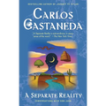 Separate Reality - Paperback