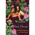 Wisdom of the Plant Devas: Herbal Medicine for a New Earth - Paperback